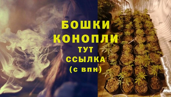 хмурый Кодинск