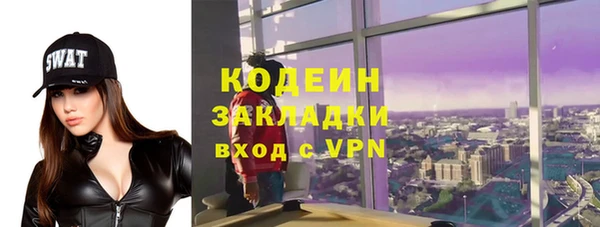 хмурый Кодинск