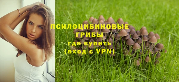 прущая мука Козельск