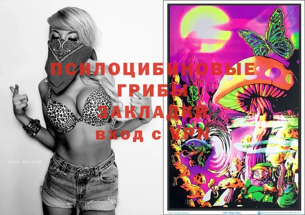 марки lsd Козловка