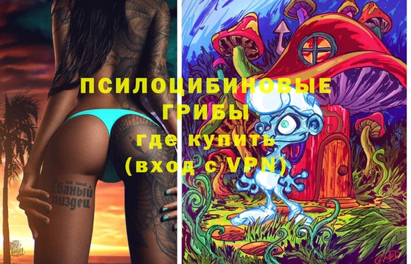 хмурый Кодинск