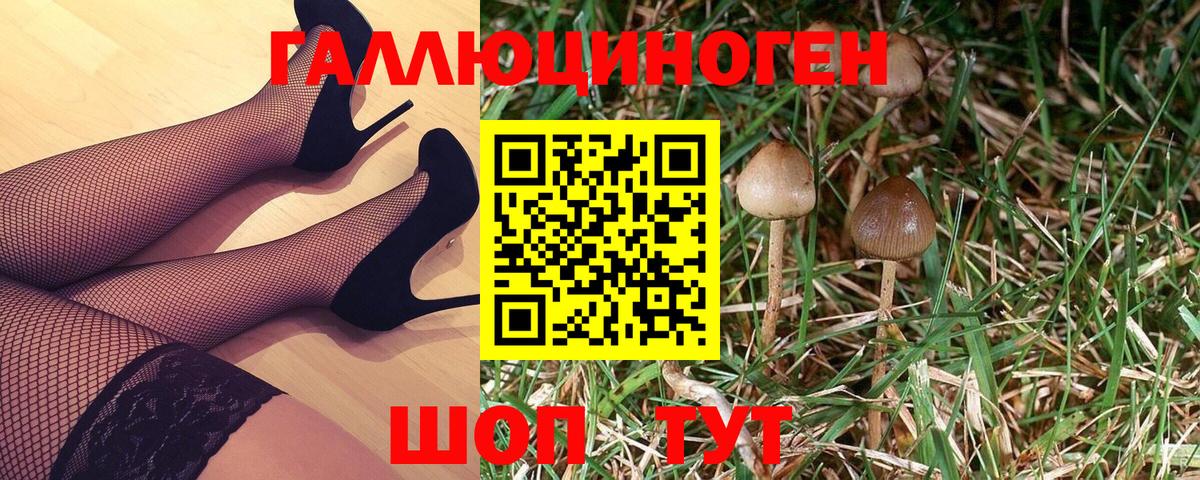 Галлюциногенные грибы MAGIC MUSHROOMS  Обнинск 