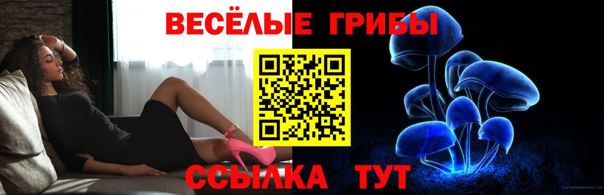 Псилоцибиновые грибы Psilocybe Обнинск